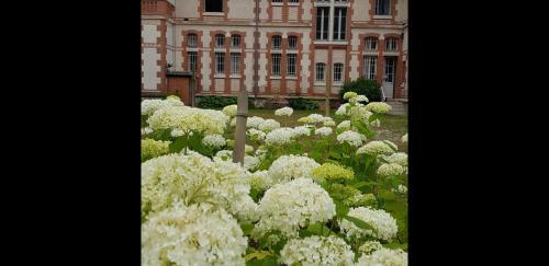 Chateau Du Bois Rabot - Exceptionnel - Sologne