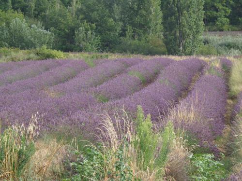 Bed & Breakfast Santolines En Provence