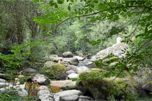 Chalet Dans Un Cadre Verdoyant