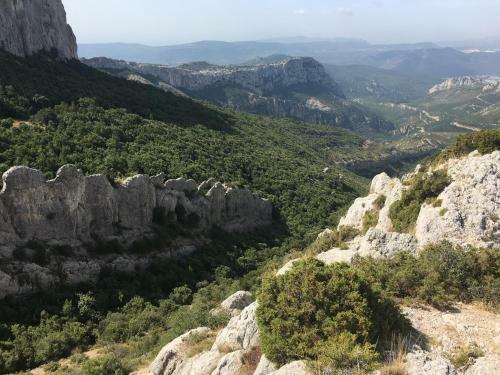 La Maison De Mado Et Sa Cabane Dans Les Arbres