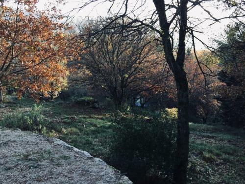 La Maison De Mado Et Sa Cabane Dans Les Arbres