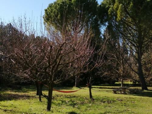 Bed & Breakfast R�ve D?emma