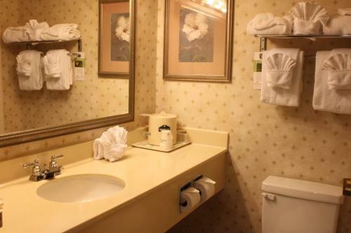 Hotel Wingate By Wyndham Atlanta-duluth