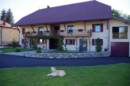 Bed & Breakfast Le Paon Bleu