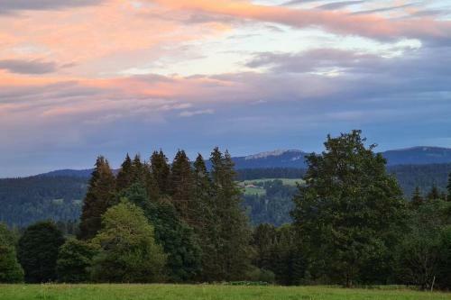La Larmontine, Tiny House Montagnarde