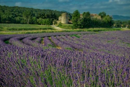 Les Beaux Chenes