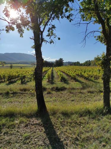 Bed & Breakfast Suite Privative Au C?ur De La Provence
