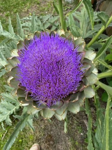 Bed & Breakfast C�line Et Olivier