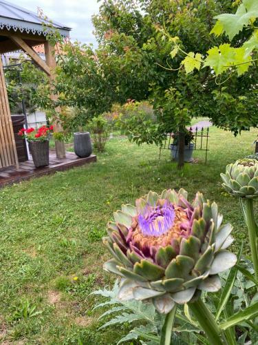 Bed & Breakfast C�line Et Olivier