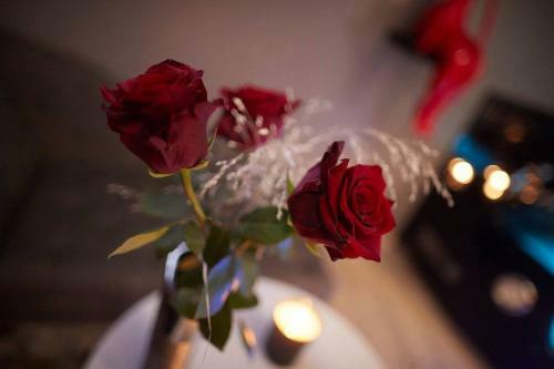 Apartamento Crystal Love Appart