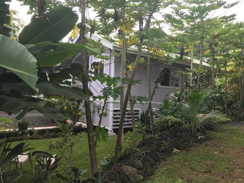 Hostal The Dolphin Cottage At Kehena Beach