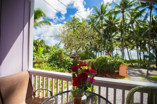 Hostal The Dolphin Cottage At Kehena Beach
