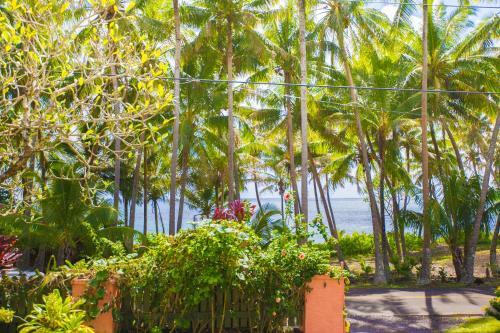 Hostal The Dolphin Cottage At Kehena Beach