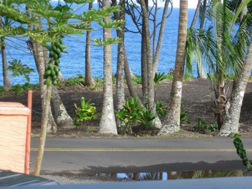 Oceanfront Cottage At Kehena Beach