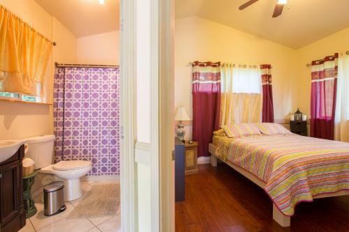 Oceanfront Cottage At Kehena Beach