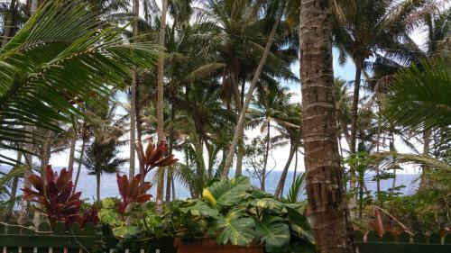 Apartamento Private Studios Near Kehena Beach