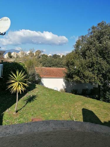 Apartamento Appartement Blue Fish