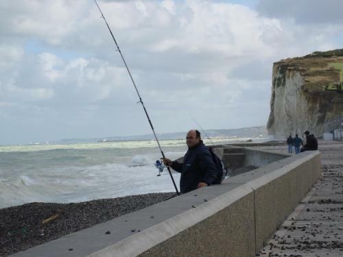 Apartamentos La Plage En Normandie