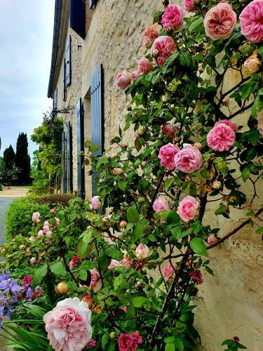 Bed & Breakfast Le Clos De L'amiral