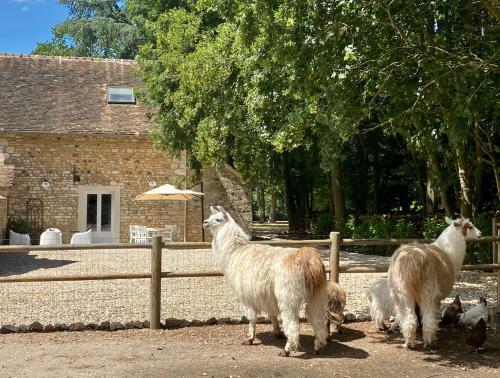 Domaine Du Chesney