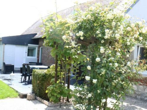 G�te Prisches, 4 Pi�ces, 6 Personnes - Fr-1-510-103