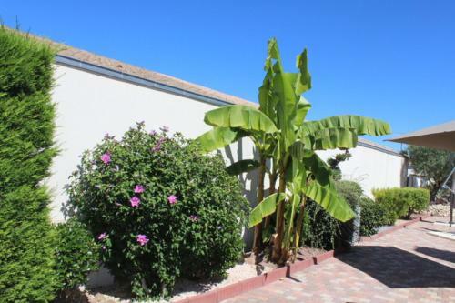 G�te Fleur De Sable La Rochelle