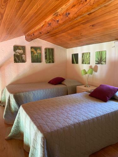 Hameau De Piscia
