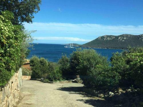 Apartamento Studio Avec Piscine Partagee Terrasse Et Wifi A Porto Vecchio