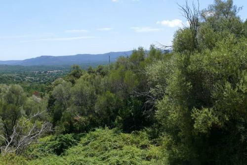 Apartamento Studio Avec Piscine Partagee Terrasse Et Wifi A Porto Vecchio