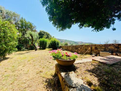 Apartamento R�sidence Marie Diane - Laurier Des Bois
