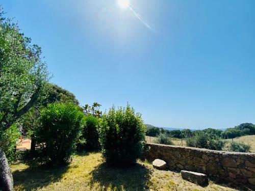 Apartamento R�sidence Marie Diane - Laurier Des Bois