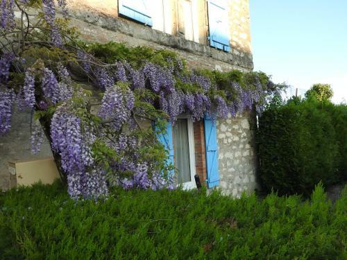Bed & Breakfast La Dame Fines
