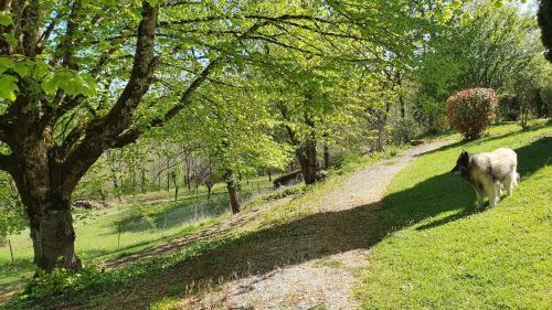 Hostal Domaine Du Cardou