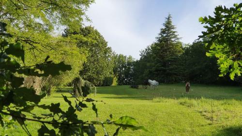 Hostal Domaine Du Cardou