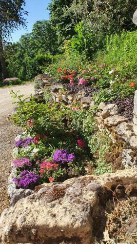 Hostal Domaine Du Cardou