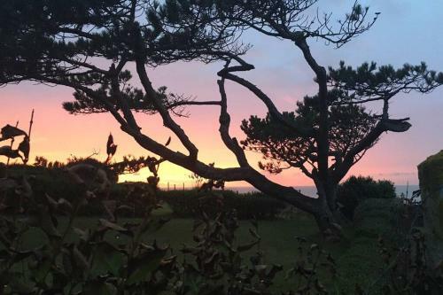 Les Pins