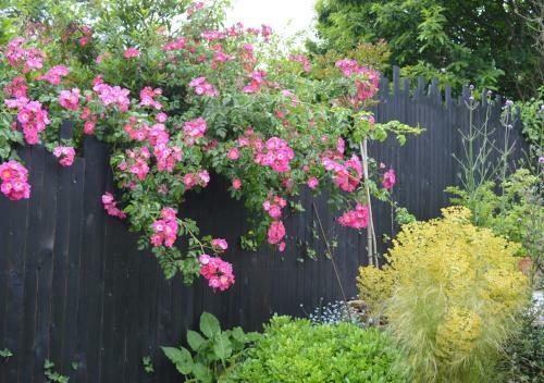 Hostal Jardin De Belle Vue