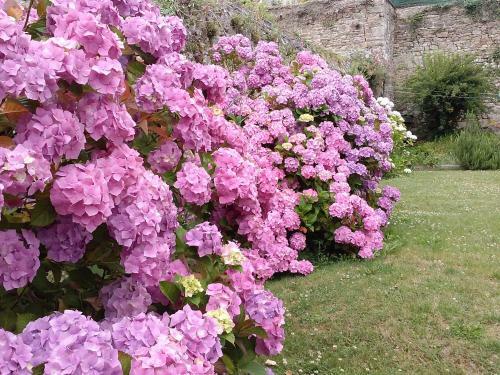 Bed & Breakfast Chez Catie