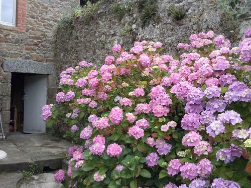 Bed & Breakfast Chez Catie