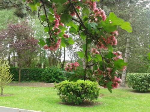 Hostal Chambre D'hotes Les Hortensias