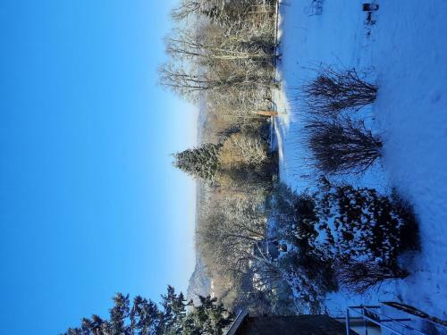 Tasteful Chalet In Raon L`etape With Barbecue