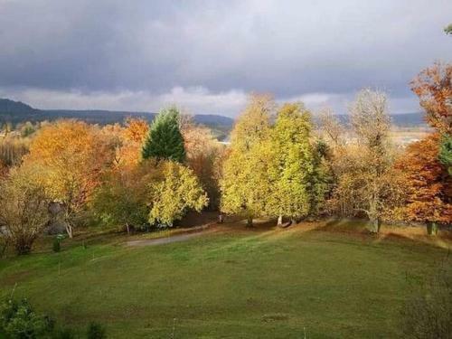 Tasteful Chalet In Raon L`etape With Barbecue