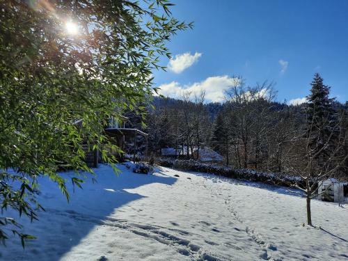 Tasteful Chalet In Raon L`etape With Barbecue