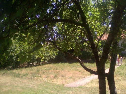 Le G�te De R�aumur