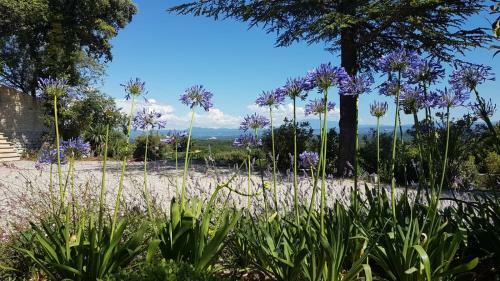 Villa Calaven - R�auville