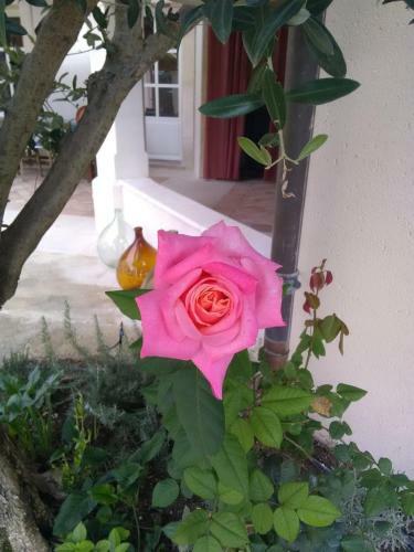 Villa Calaven - R�auville