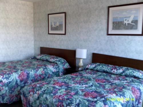Sea Esta Motel 1