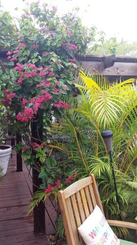 Bed & Breakfast Mango Street Inn