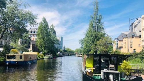 Apartamento L'eucalyptus, Charmant T2 Au C?ur Du Centre Ville
