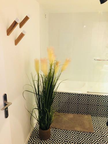 Apartamento Appartement Vue Sur Mer �le de R�